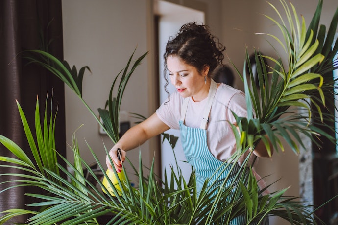 Check the NPK Ratio of the Plant Food to Ensure You’re Picking the Right One for Your Types of Plants