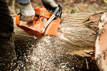 1. Petrol Powered Chainsaws Are Great for Heavy Duty Work, Cordless Electric Chainsaws Are Better for Light DIY and Garden Tasks