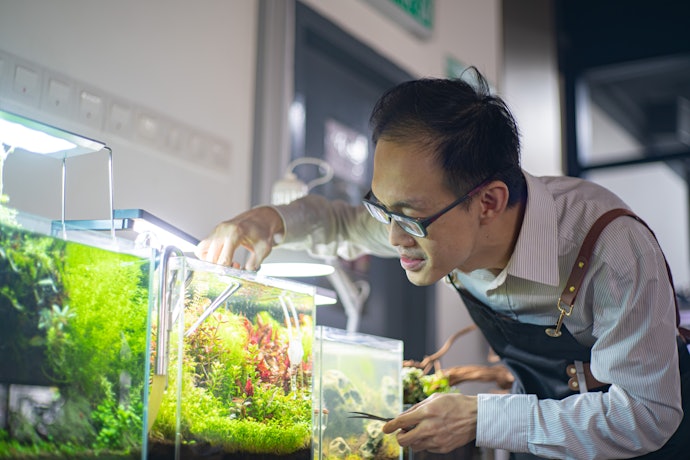 Choose a Sponge Filter for Small Tanks, Canister Filter for Large Aquariums or Hang-On-Back Filter for a Low-Maintenance Discreet Look