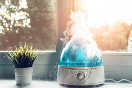 Look for Models With Adjustable Mist Emission or Cool and Hot Modes to Let You Control the Mist