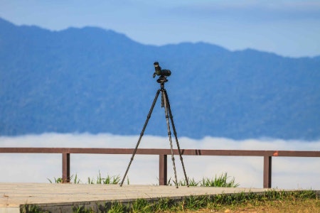 Consider Additional Features Like Camera and Tripod Mounts to Capture Unique Wildlife Scenes