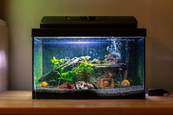 Opt for a Flow Rate of 4-6 Times the Water Volume of Your Tank
