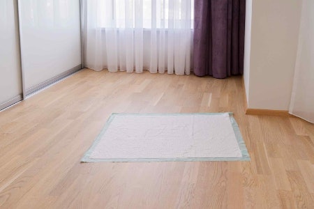 Select Pads That Are Bigger Than 24” x 35” for Larger Breeds