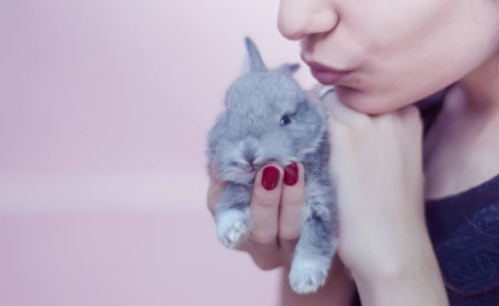 Check the Product Is Cruelty-Free if You Care About Animal Welfare