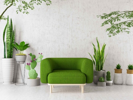 Pick a Plant Stand With a Style That'll Complement Your Home