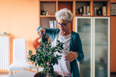 Decide Whether You Want a Fully-Developed Bonsai or One You Grow Yourself