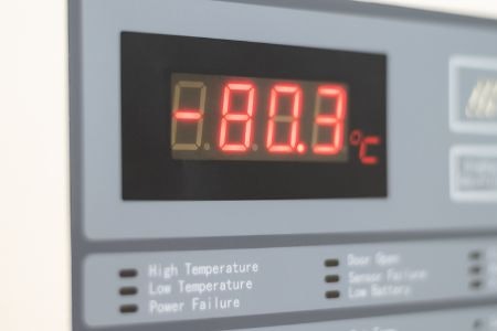 Opt For a Temperature Adjustor, Lock or Energy Efficient Freezer (Under 200 Watts) For Further Convenience