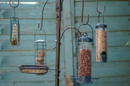 Look for a Feeder With a Large Number of Hooks and Holders if You Want to Offer the Local Birds a Variety of Delights