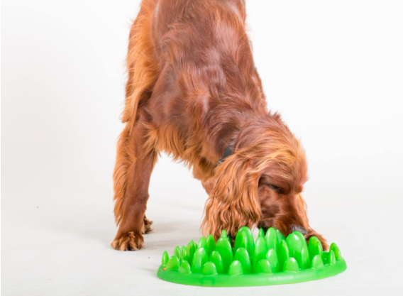 Consider a Strong Material That's Safe to Eat From
