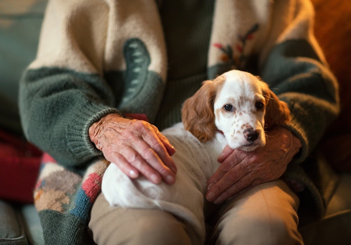 Ensure That the Product Is Suitable for Your Dog by Looking at the Recommended Age Range