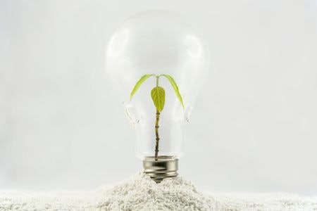 Save Some Pennies and Reduce Your Carbon Footprint With an Energy-Efficient Product