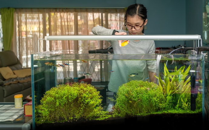 Understand the Various Types of Filtration So You Know What to Expect From Your Filter