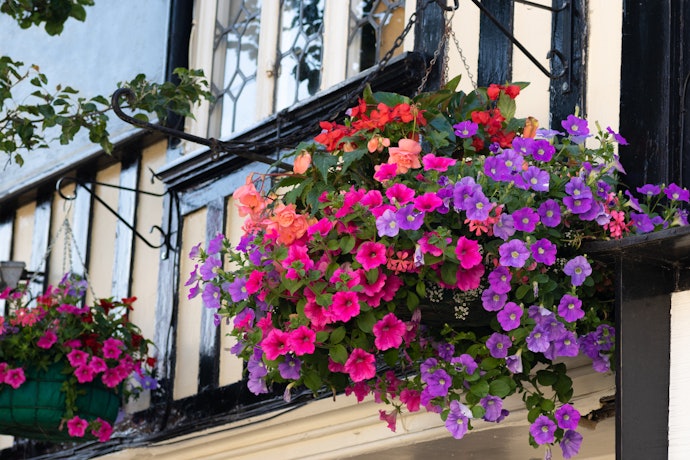 Decide Where Your Seeds Will Be Planted and Consider the Look and Style You Want to Create