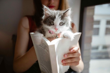 Choose Your Preferred Reading Method
