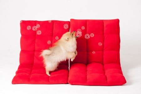 Note the Padding Material: Cotton Is Soft, Foam and Sponge Provide Comfort and Support