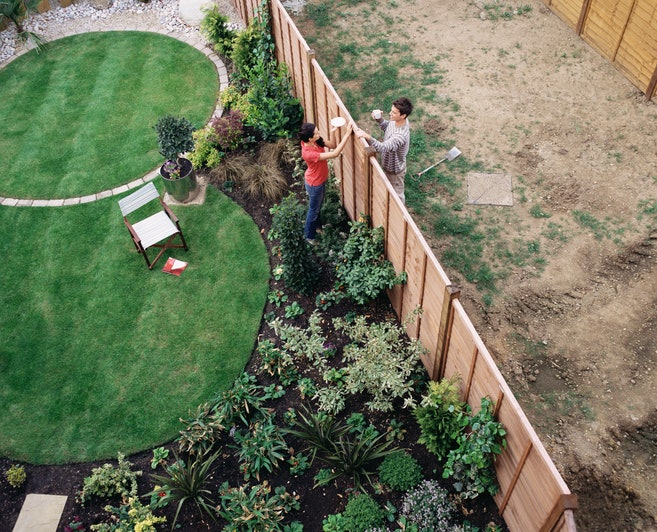 Measure the Growing Area to Ensure You Have Enough Seed: 1 kg of Grass Seed is Sufficient for a 30 M² Lawn