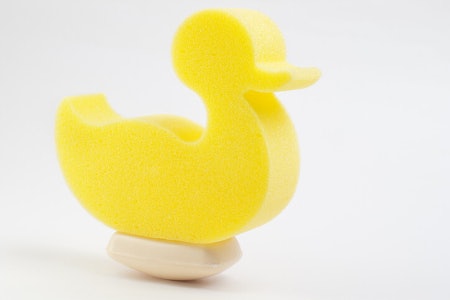 A Bigger Sponge Covers More Surface Area