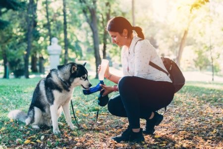 Choose a Capacity That Allows for About 25-50ml of Water per Kilogram of Your Dog's Weight, Every 24 Hours