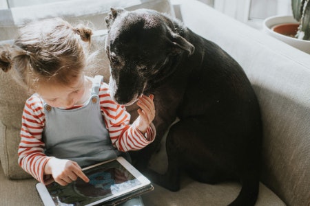 Keep an Eye Out for Extra Features That Add to Your Playdate Experience