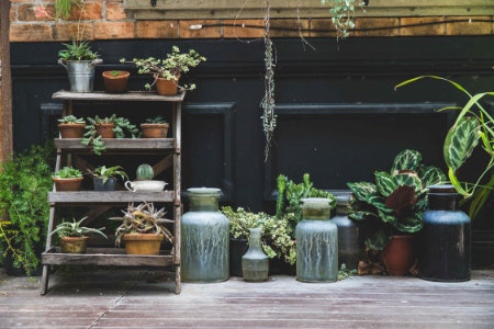 Plant Stands With Multiple Tiers Can Provide a Home for Several Plants