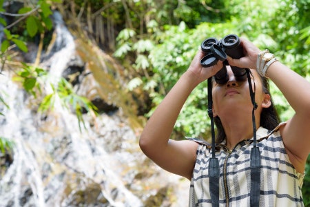 Choose Between Porro or Roof Prism Binoculars Based on Whether You Prioritise Design or Functionality