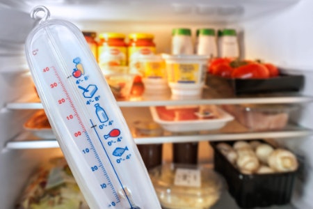 Decide on a Temperature Range: Compressors Usually Run Between 2-18°C, Whereas Thermoelectrics Sit Between 16-50°C
