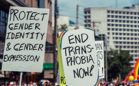 For a Progressive Exploration of Gender, Try a Book on Identity and Fluidity