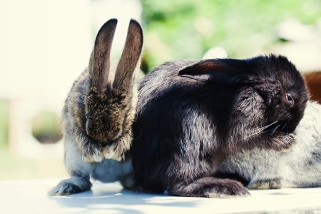 Ethical Products Have Plant-Based Formulas Which Are Certified Vegan and Cruelty-Free
