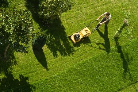 Electric Mowers Are Ideal for Medium Sized Gardens