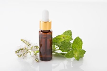 Essential Oils Can Be Anti-Septic, Freshen Breath and Act as a Pick-me-Up, Depending Which One You Choose