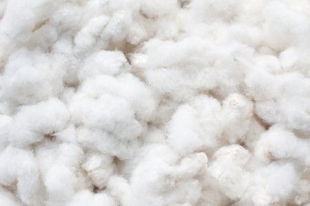 Polypropylene, Microfibre and Similar Materials Are Excellent at Absorbing Moisture