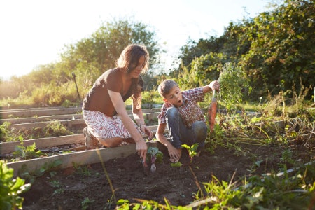 Check Which Months the Seeds Can Be Grown