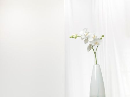 Bottleneck or Column Vases Suit Longer Stems