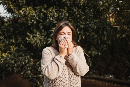 If You Are Prone to Allergies, Choose a Synthetic Filling
