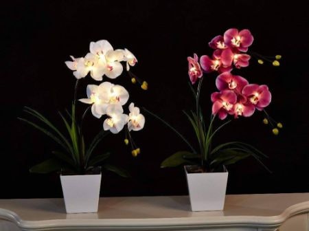 Add an Extra Twinkle to Your Space With LED Lights