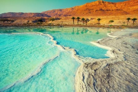 Dead Sea Salts Have the Highest Mineral Content and Can Treat Skin Conditions