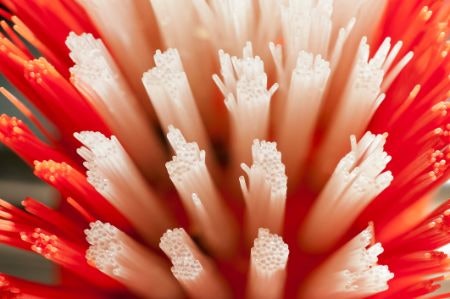 Synthetic Hairs Don't Wear Down and Suit Cruelty-Free Shoppers