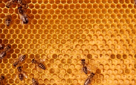 Beeswax Is the Only All-Natural Option