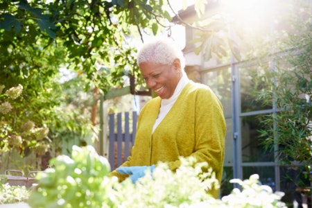 Homeware and Garden Equipment Can Help Them Rejuvenate Their Space