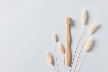 Nylon Bristles Are Cheaper, More Common, and Gentle on the Gums