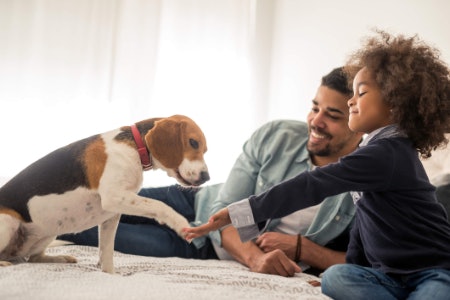 General Books Are Ideal for Family Pet Owners