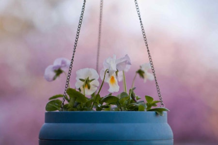 Ceramic Baskets Will Add a Decorative Touch