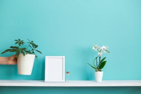 Homeware Boxes Are a Fun Way to Spruce up the House or Apartment