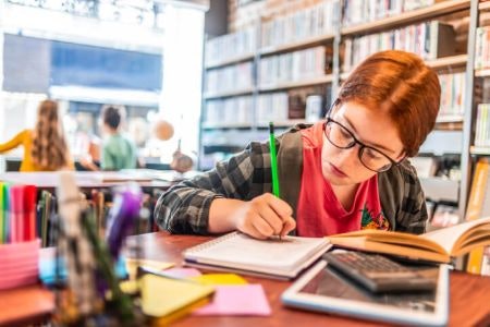For School-Age Learners or Anyone Hoping to Brush up on Grammar, Pick a Specialist Book