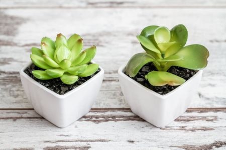 Opt for Flexible Plastic to Achieve Authenticity