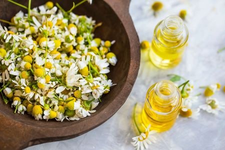 Lavender, Chamomile and Rosemary: Oils to Help You Sleep