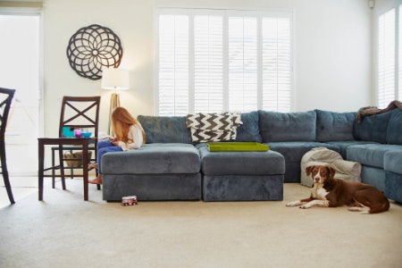 Check What Type of Sofa a Cover Is for to Find a Practical Solution