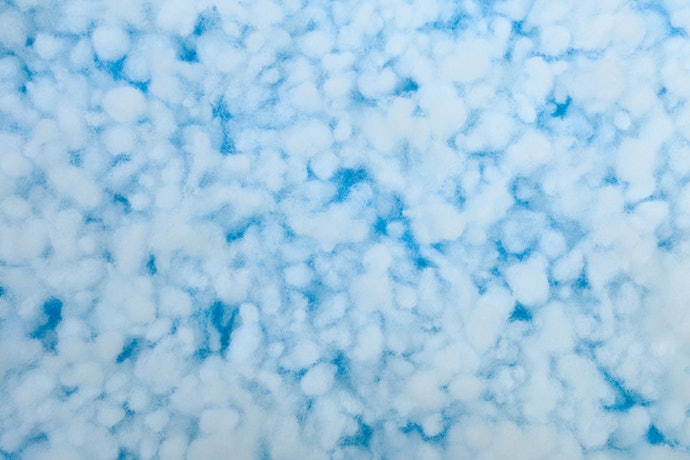 Polyester Is Popular, Cheap and Retains Heat