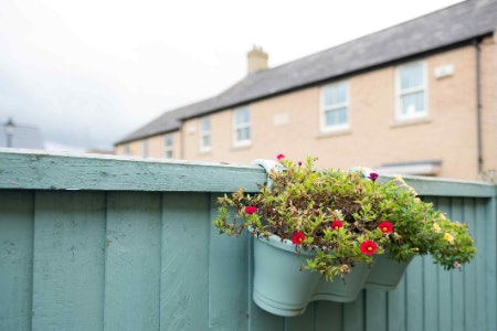 Plastic Pots Are Naturally Water Retaining