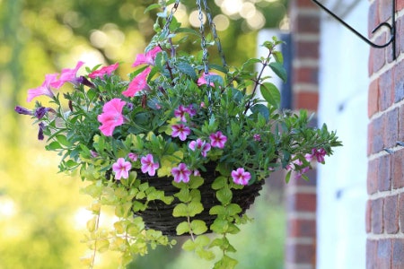 Wicker and Woven Baskets Are a Prettier Option